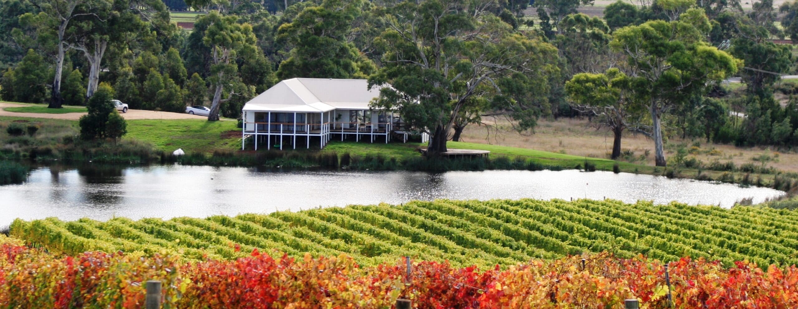 freycinet winery tours